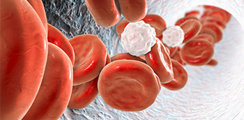 Glóbulos rojos a través de una trombosis